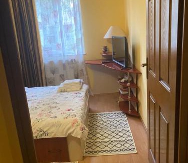 Baia Mare Apartment | Exclusive HORTENSIEI