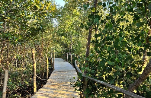 Nueva Valencia Villa | Exclusive Island Adventures and Serenity Retreat -La Roca Private Vacation Villa
