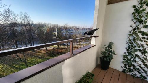 Kielce Apartment | Exclusive Loft Kadzielnia