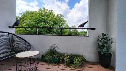 Kielce Apartment | Exclusive Loft Kadzielnia