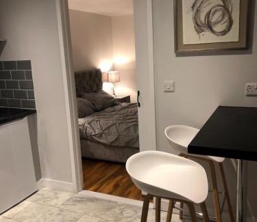Newport Apartment | Exclusive Modern decorated 1 Bedroom Detached Studio