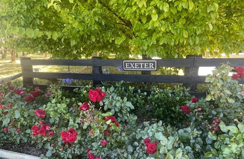 Lucknow Cottage | ‘Exeter Cottage' - Your Private Country Oasis’