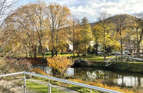 Bad Neuenahr-Ahrweiler Apartment | Exklusive Wohnung mit Ahrblick 1 und Dachterrasse