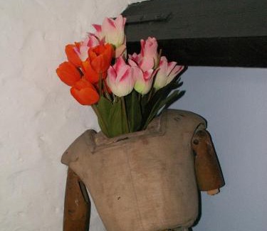Historical Center Bruges Bed & Breakfast | Expect the unexpected !