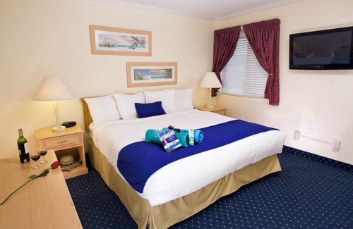 Rocky Point Hotel | Experience All Of What Tampa Has To Offer! Full Kitchen, Free Parking, Pool