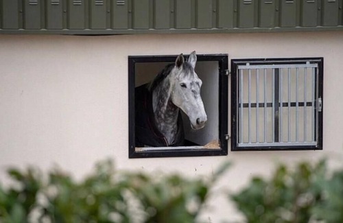Bridgetown Apartment | Experience our charming Wexford stable apartment