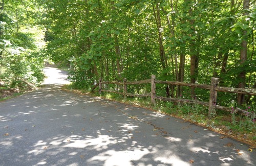 Weaverville Cottage | Experience the Best of Western North Carolina Near Asheville