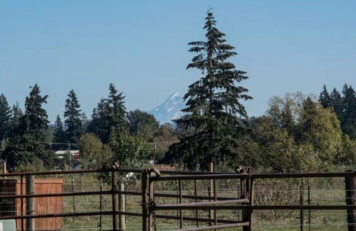 Ridgefield Other | Experience the Bunkhouse at the Flying F Ranch