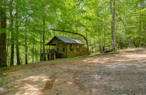 Vein Mountain Apartment | Explore and Unwind in Nature Blue Ridge Cabin