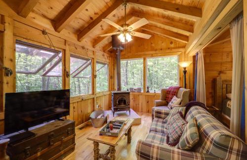 Vein Mountain Apartment | Explore and Unwind in Nature Blue Ridge Cabin
