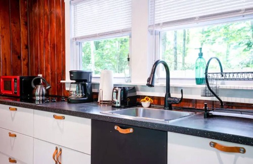 Pisgah Forest Cabin | Explore & Bike from Upscale Cabin near Dupont