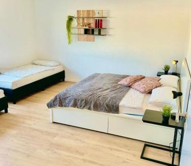 Rheinfelden Apartment | Explore CH & FR - deluxe apartment Basel Airport