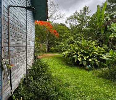 Ratones House | Férias em Floripa