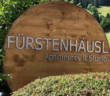 Alpbach Apartment | Fürstenhäusl Alpbach - GREEN Apartments & Studio