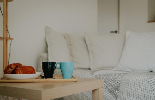 Saint-Genest-Lerpt Apartment | F2 spacieux et lumineux avec cuisine équipée