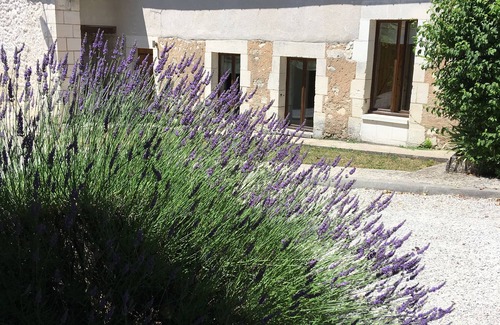 Grand-Brassac House | Fabulous location- Pretty Cottage - heated pool and sauna