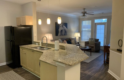 Alpharetta House | Fabulous One Bed/One Bath Corporate Furnished Apt in Alpharetta