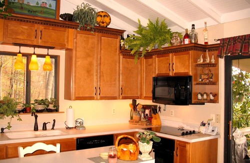 Murphy Cabin | Fabulous Views, Very Private Mt., Screened Porch, Close to Town. Very Unique