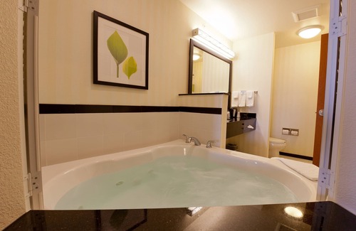 Fenton Hotel | Fairfield Inn & Suites Flint Fenton