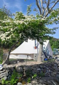 Carlingford Other | Fairy Fort at Rosemount Glamping
