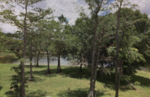 Naples Condo | Falling Waters Beach Resort