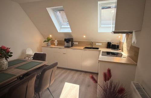 Feldberger Seenlandschaft Apartment | Familienwohnung