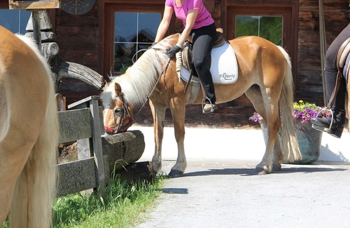 Sonnenberg House | Familienzimmer »morgensonne« Shortstay - Hotel Haflingerhof