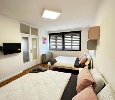 Donji Milanovac Apartment | Family Apartman