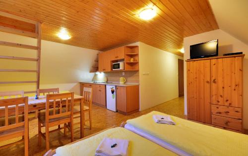 Dolni Morava Apartment | Family apartments V Zátiší