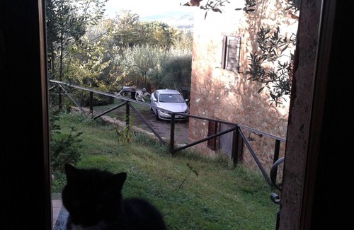 Orvieto House | Family-friendly country house for holidays Podere La Vigna