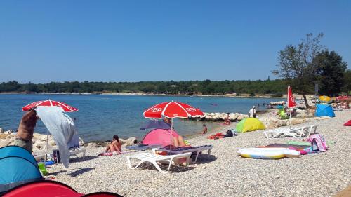 Farini House | Family friendly house with a swimming pool Visnjan, Central Istria - Sredisnja Istra - 22837