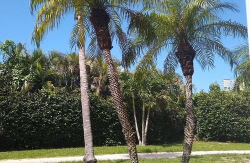Placida Condo | Family Friendly Island Escapen