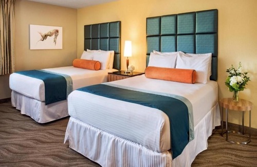 Little Italy Hotel | Family-Friendly Room in Little Italy – Walkable Central Location | 3 Units