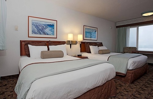 Newport Hotel | Family & Friends Getaway! 2 Convenient Units, Free Parking, Pets Are Welcome!