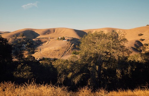 Templeton House | Family Getaway, Paso wineries, Hot Tub, Dogs!
