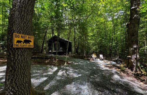 Balsam Grove Other | Family Glamping Cabin-Bed and Bear at Valley Bear Farms Resort