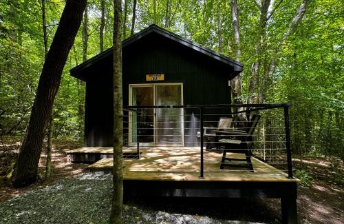 Balsam Grove Other | Family Glamping Cabin-Bed and Bear at Valley Bear Farms Resort