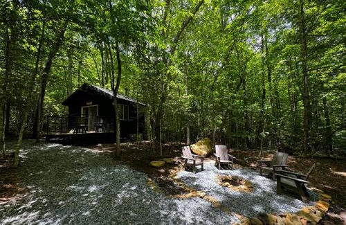 Balsam Grove Other | Family Glamping Cabin-Bed and Bear at Valley Bear Farms Resort