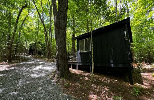 Balsam Grove Other | Family Glamping Cabin-Can't Bear to Leave at Valley Bear Farms Resort