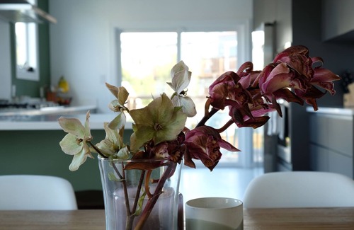 Miraloma Park Villa | Family hideout in the hearth of San Francisco