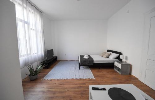Leskovac Apartment | Family House