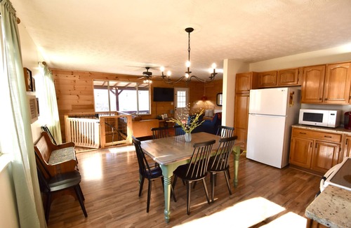 Cosby Cabin | Family Memory Maker: Great Mountain View/Hot tub/Games/Firepit/Private Vineyard