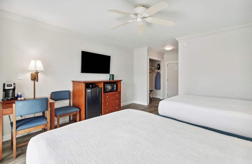 Atlantic Beach Hotel | Family Seaside Haven: 3 Comfortable Rooms | Outdoor Pool | Pet-Friendly