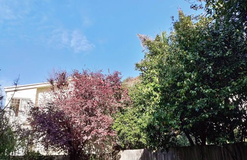 Russian Hill Apartment | Fancy & Quiet Suite, Prime SF Location, Close to Fisherman's Wharf, Bay & FiDi