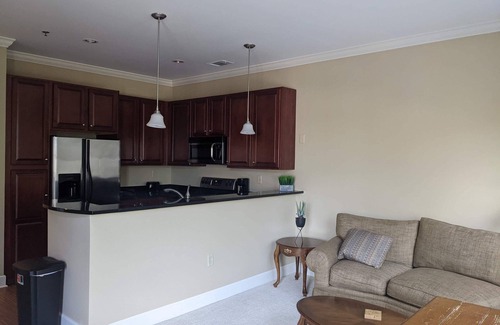 Spartanburg Condo | Fantastic 1.5BR/1BA Condo Downtown Spartanburg, SC
