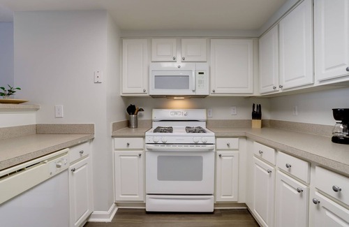 Ballston Apartment | Fantastic 1 Bedroom Condo at Ballston