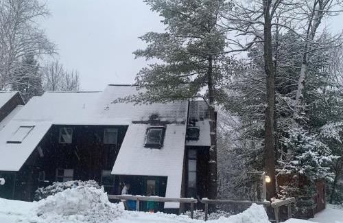 Windham Ski Chalet | Fantastic 2 family vacation home with EV charger