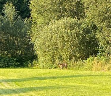 Steinach Apartment | Far away from Afrika