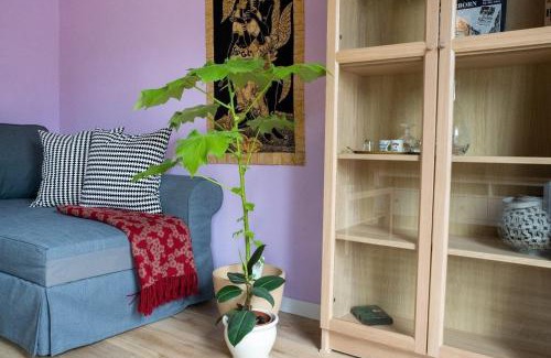 Detmold Apartment | farbenfrohe Ferienwohnung