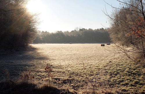 Municipality of Valkenswaard Other | Farm House with huge garden in the middle of nature.